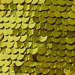 Colore: VERDE