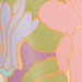 Colore: VIOLA ROSA VERDE