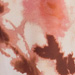 Colore: ROSA CIPRIA MARRONE
