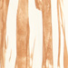 Colore: BEIGE