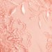 Colore: ROSA