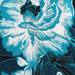 Colore: BLU