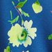 Colore: BLU LIME ORCHIDEA