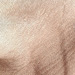 Colore: BEIGE