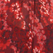 Colore: BORDEAUX