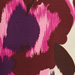 Colore: VIOLA ROSA