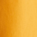 Colore: SENAPE