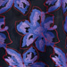 Colore: VIOLA NERO ROSSO