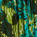 Colore: PAVONE VERDE NERO