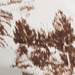 Colore: BIANCO MARRONE
