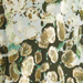 Colore: VERDE BIANCO ORO