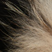 Colore: BEIGE NERO
