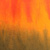 Colore: VERDE ARANCIONE