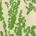 Colore: VERDE AVORIO
