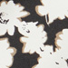 Colore: AVORIO NERO BEIGE
