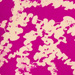 Colore: CICLAMINO