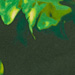 Colore: VERDE