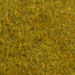 Colore: VERDE OLIVA