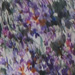 Colore: VIOLA VERDE