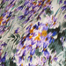 Colore: VIOLA VERDE