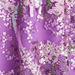 Colore: VIOLA