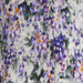 Colore: VIOLA VERDE