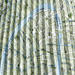 Colore: AZZURRO VERDE
