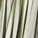 Colore: BIANCO VERDE NERO