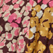 Colore: ROSA SENAPE BORGOGNA