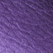 Colore: VIOLA