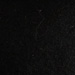 Colore: NERO ARGENTO