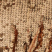 Colore: BRONZO