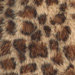 Colore: BEIGE MARRONE