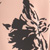 Colore: ROSA ANTICO