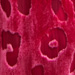 Colore: FUXIA