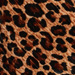 Colore: MARRONE NERO BEIGE