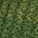 Colore: VERDE